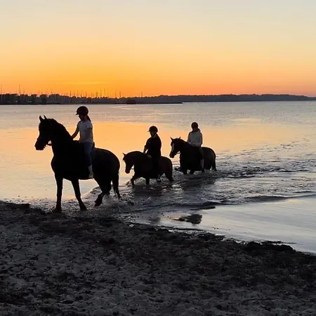 アパート Waldschloesschen *