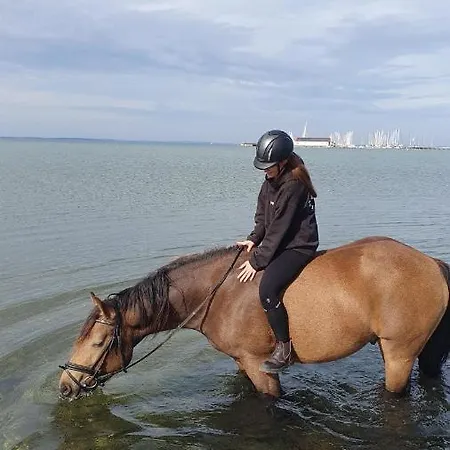 Апартаменты Waldschloesschen *