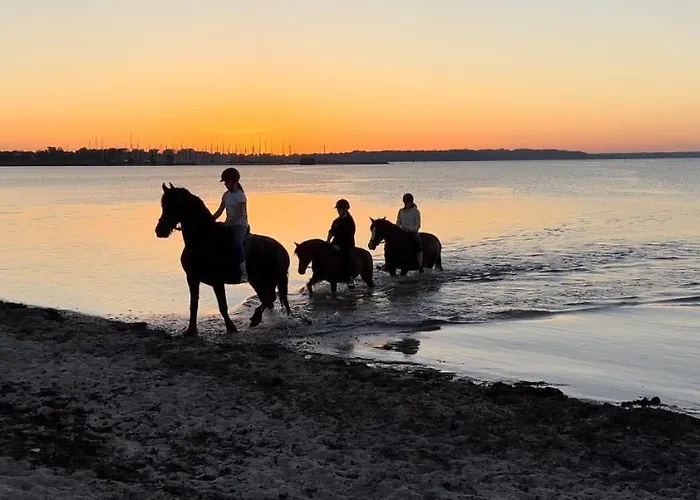 Lejlighed Waldschloesschen *