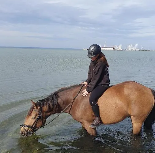 Lejlighed Waldschloesschen *